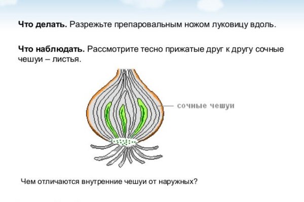 Кракен сс