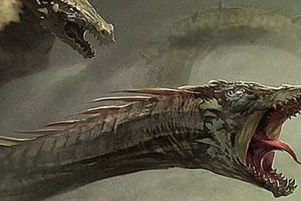 Www kraken 20at net