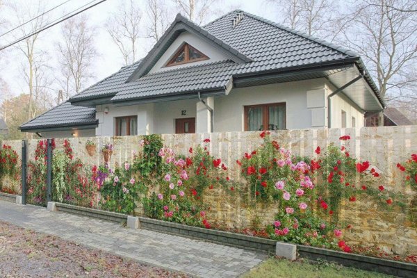 Как вывести деньги с кракена тор