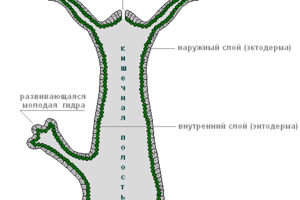 Аналог hydra