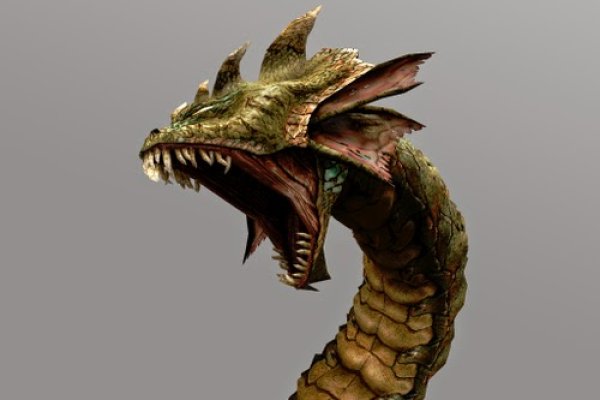 Kraken 24 at