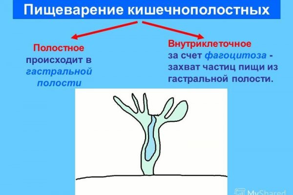 Kraken зеркало стор