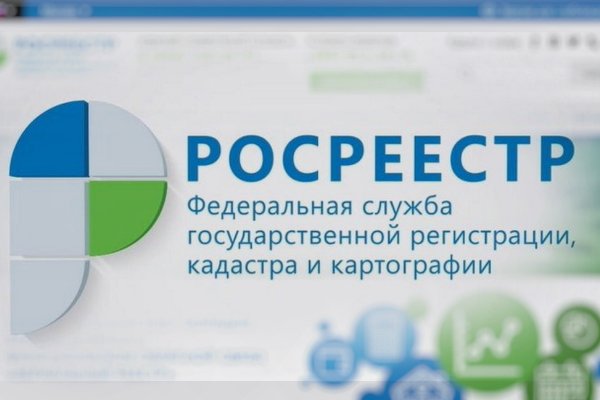 Что продают на кракене
