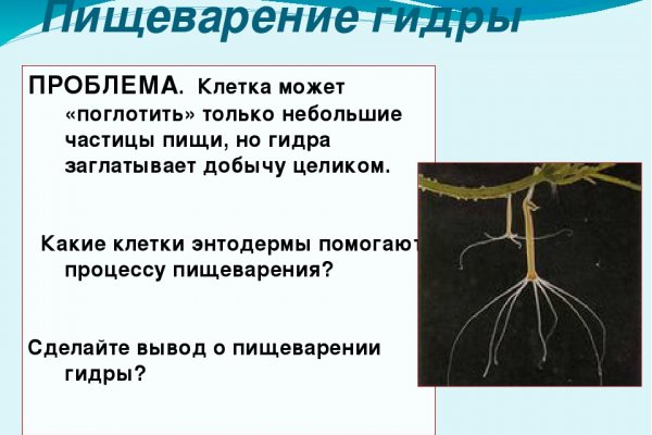Кракен найдется все