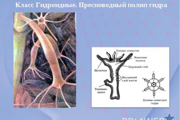 Зайти на сайт кракен
